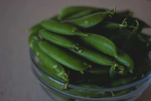 Ensalada de judias verdes