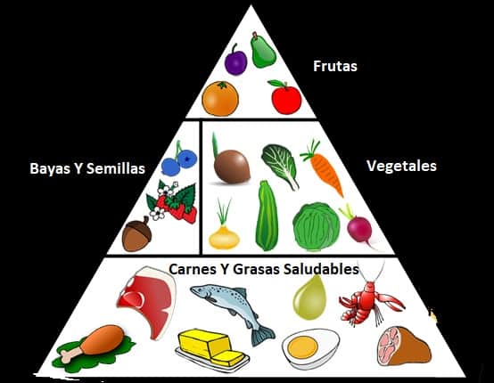 Dieta Paleo – Que Es Y Cómo Funciona?