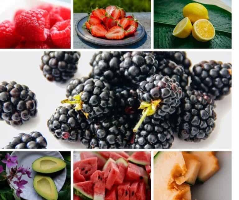 ¿Qué fruta se puede comer en la dieta Keto? Incluye Recetas