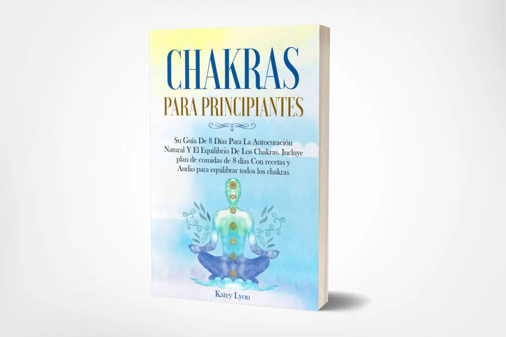 chakras para principiantes