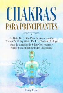 chakras para principiantes