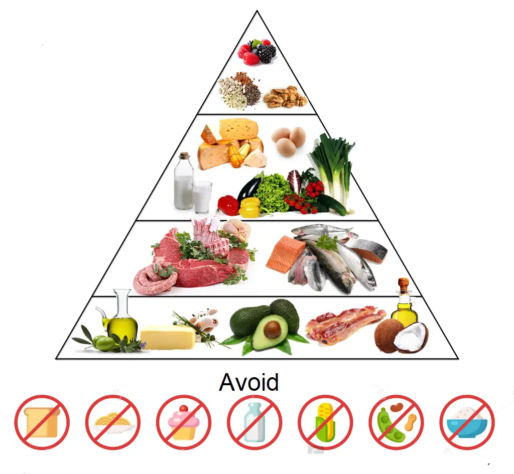 What is the ketogenic diet
