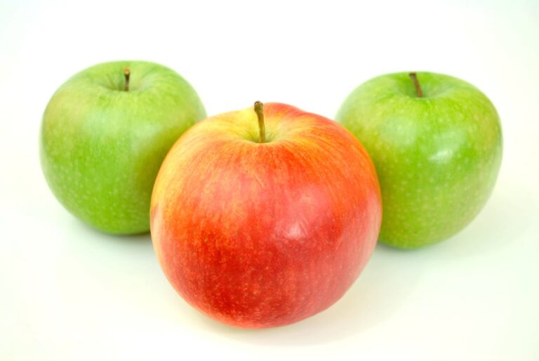 Can I eat apples on keto diet?