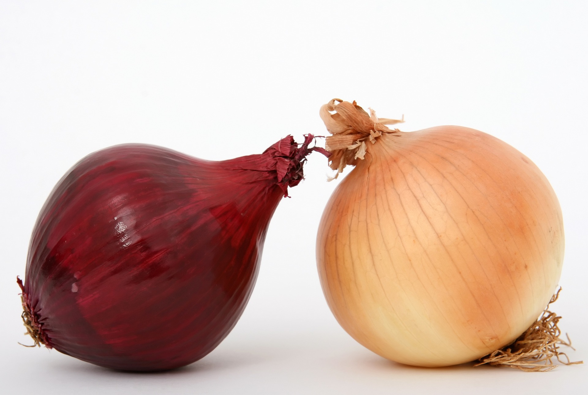 red vs white onions